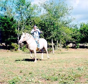 Mitch & Cook Curly horse